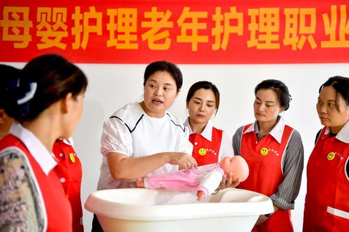 推動(dòng)家政服務(wù)職業(yè)化發(fā)展 十大核心任務(wù)引領(lǐng)行業(yè)升級(jí)